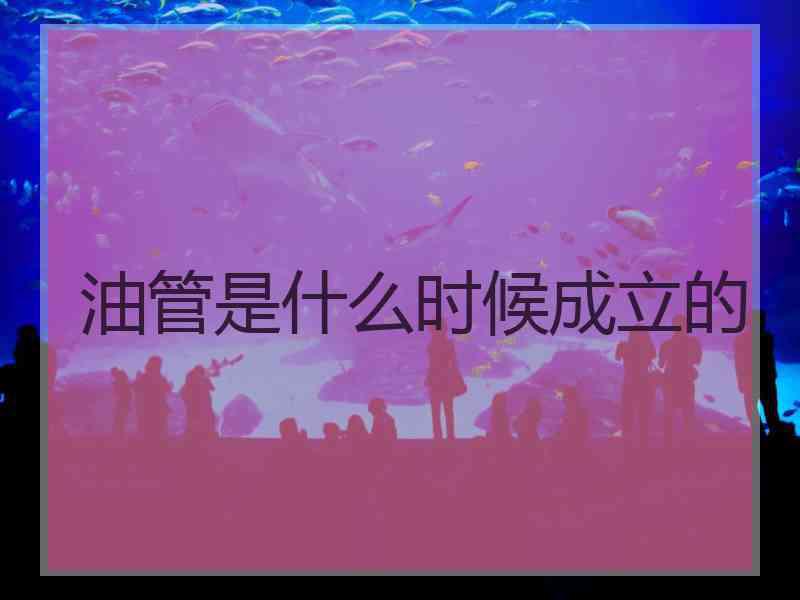 油管是什么时候成立的