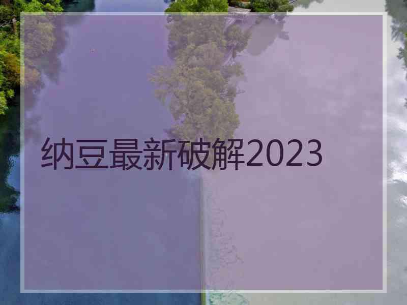 纳豆最新破解2023