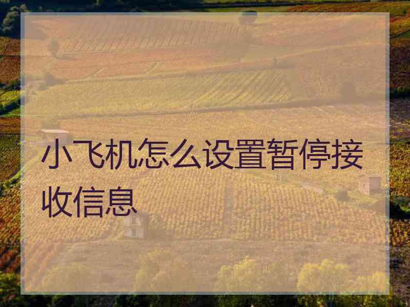 小飞机怎么设置暂停接收信息