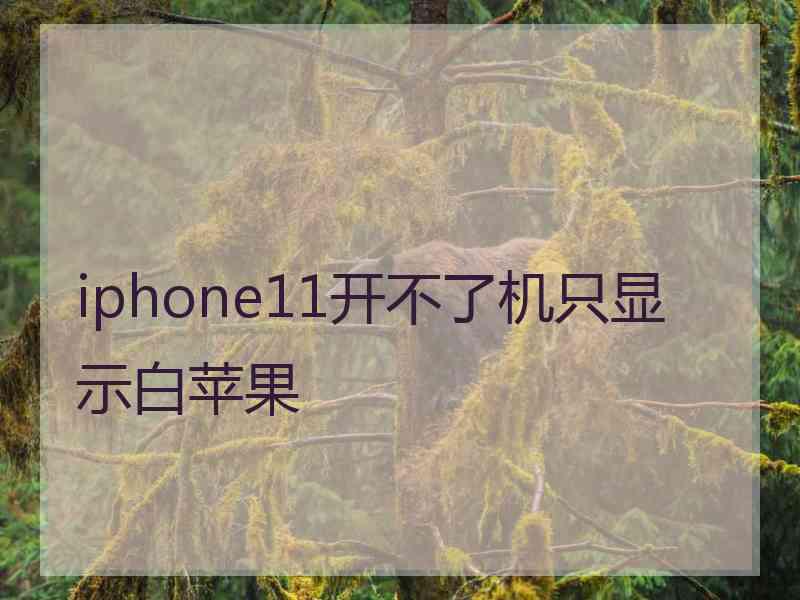 iphone11开不了机只显示白苹果