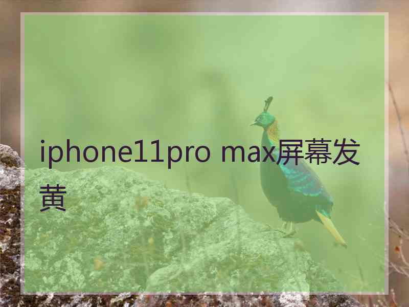 iphone11pro max屏幕发黄