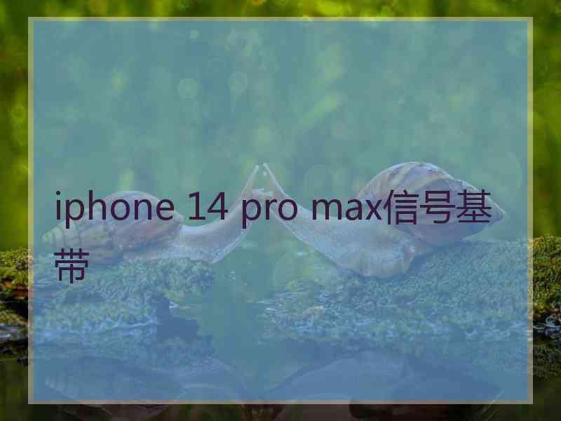 iphone 14 pro max信号基带