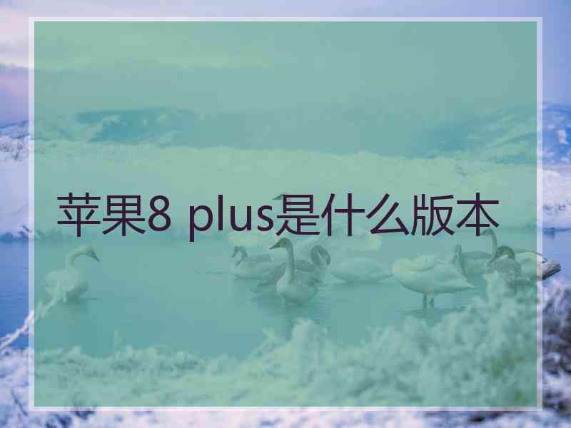 苹果8 plus是什么版本