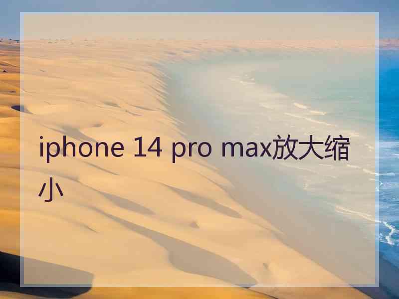 iphone 14 pro max放大缩小