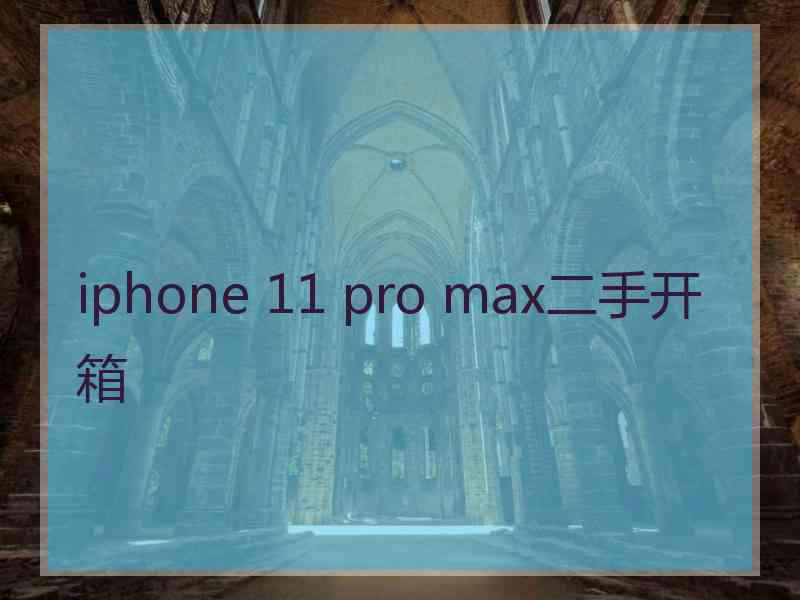 iphone 11 pro max二手开箱