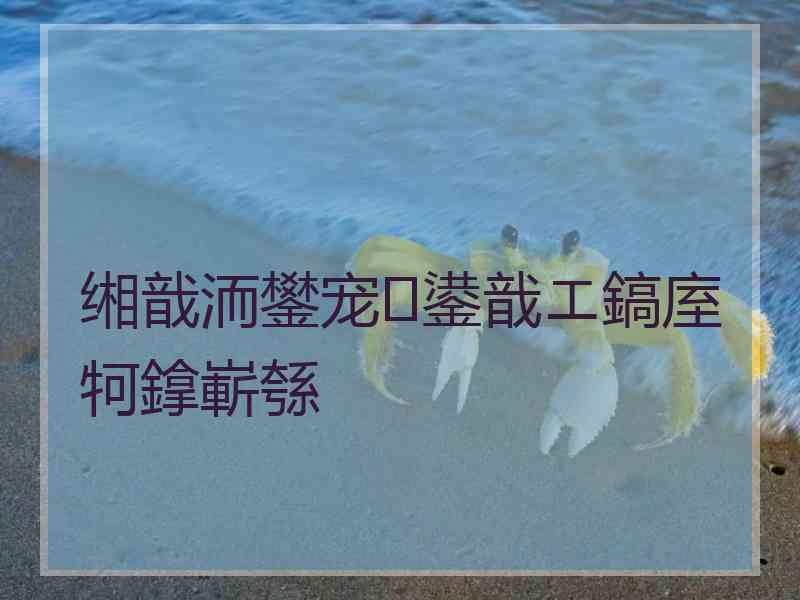 缃戠洏鐢宠鍙戠エ鎬庢牱鎿嶄綔