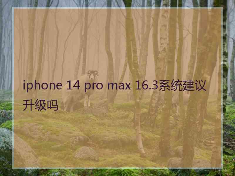 iphone 14 pro max 16.3系统建议升级吗