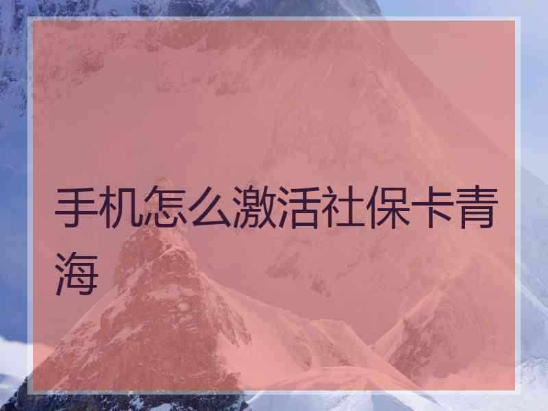 手机怎么激活社保卡青海