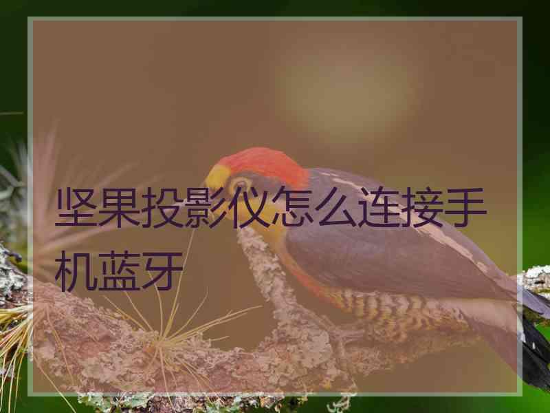 坚果投影仪怎么连接手机蓝牙