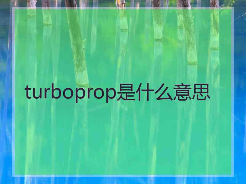 turboprop是什么意思