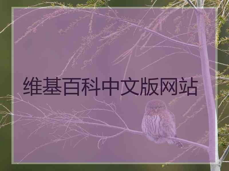 维基百科中文版网站