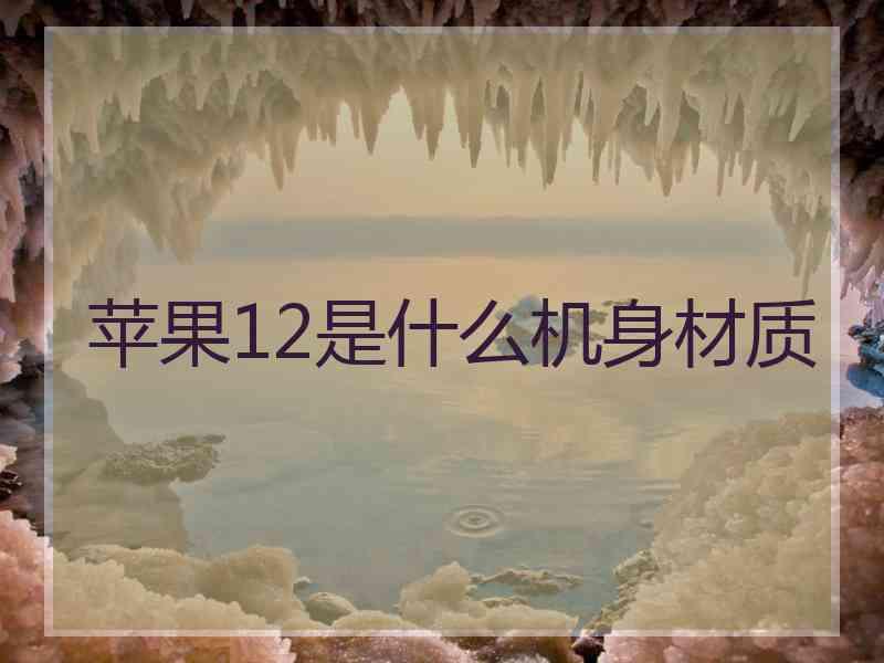 苹果12是什么机身材质