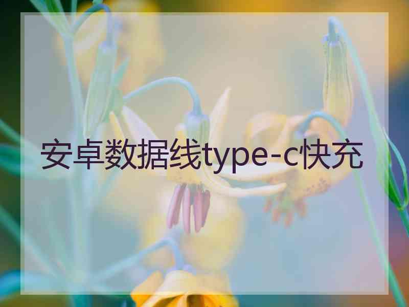 安卓数据线type-c快充