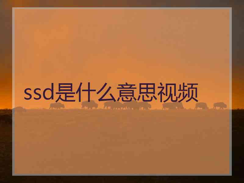 ssd是什么意思视频