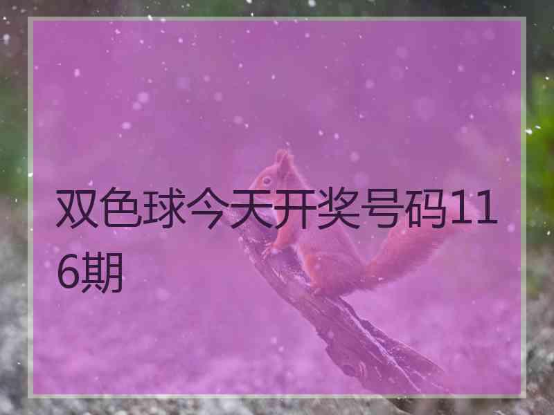 双色球今天开奖号码116期