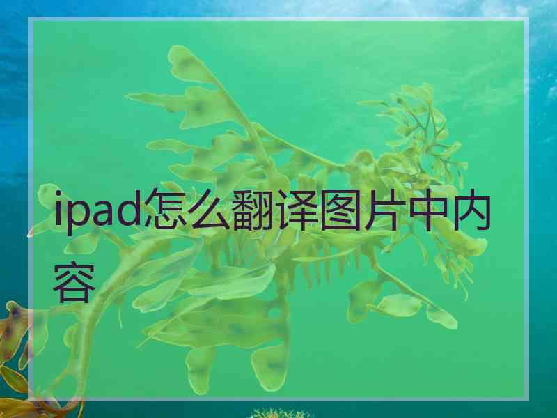 ipad怎么翻译图片中内容