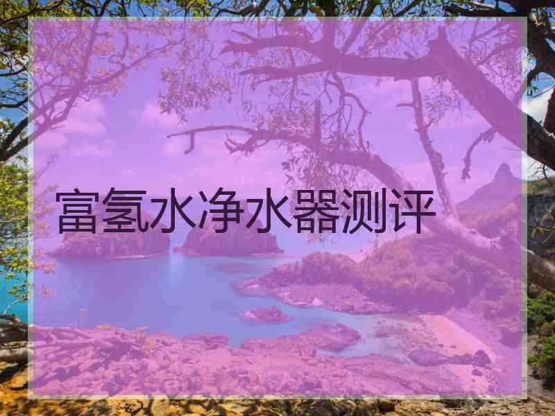 富氢水净水器测评