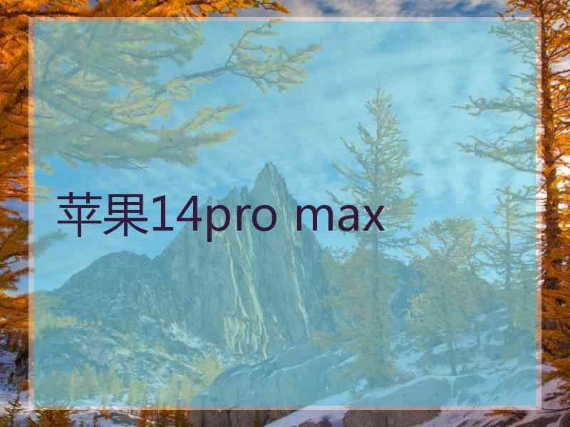 苹果14pro max