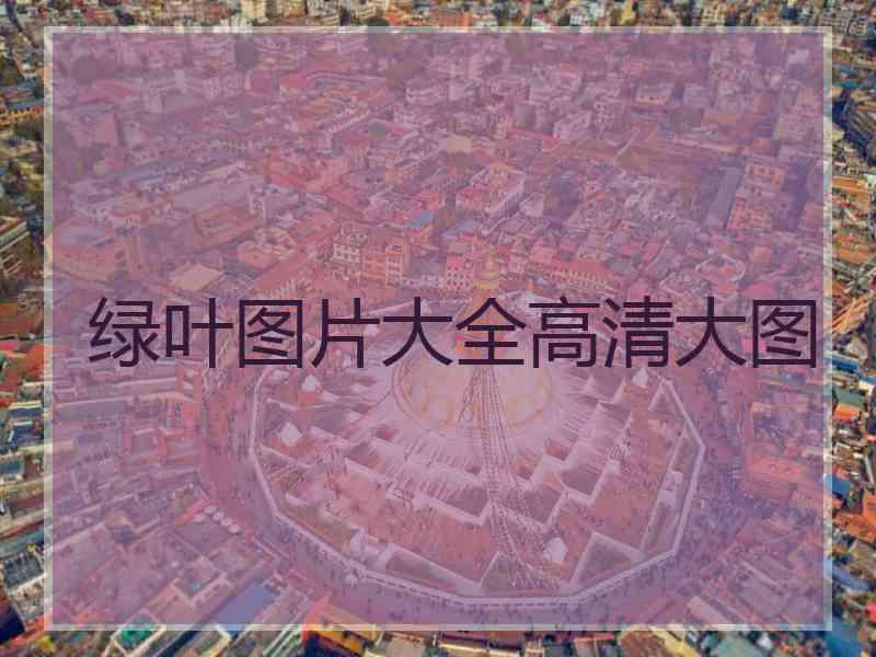 绿叶图片大全高清大图