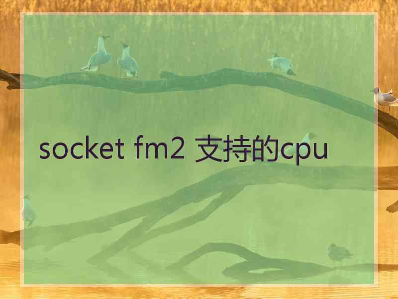 socket fm2 支持的cpu