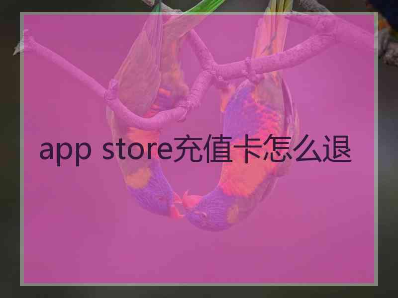 app store充值卡怎么退