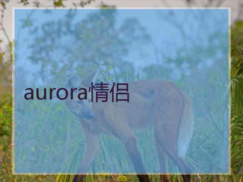 aurora情侣