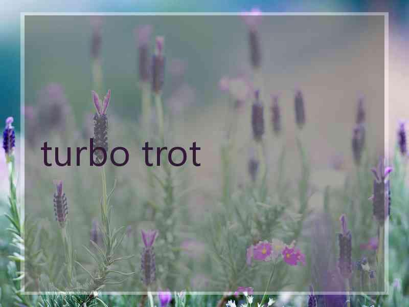 turbo trot