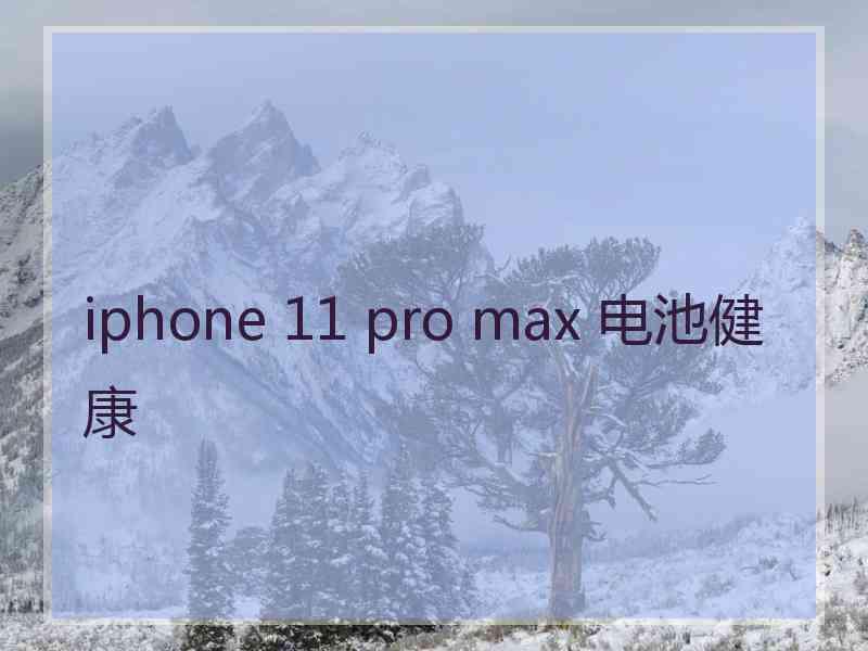 iphone 11 pro max 电池健康