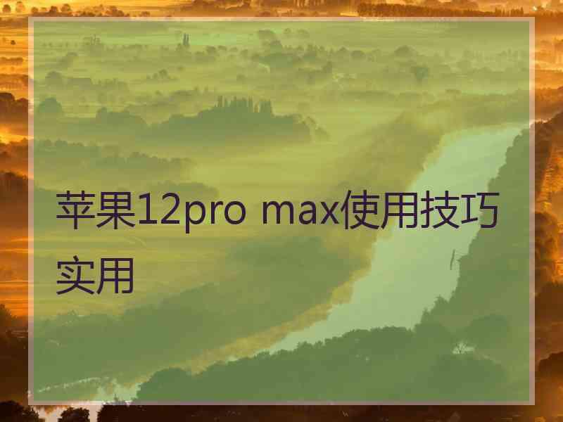 苹果12pro max使用技巧实用