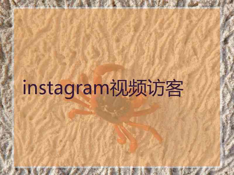 instagram视频访客