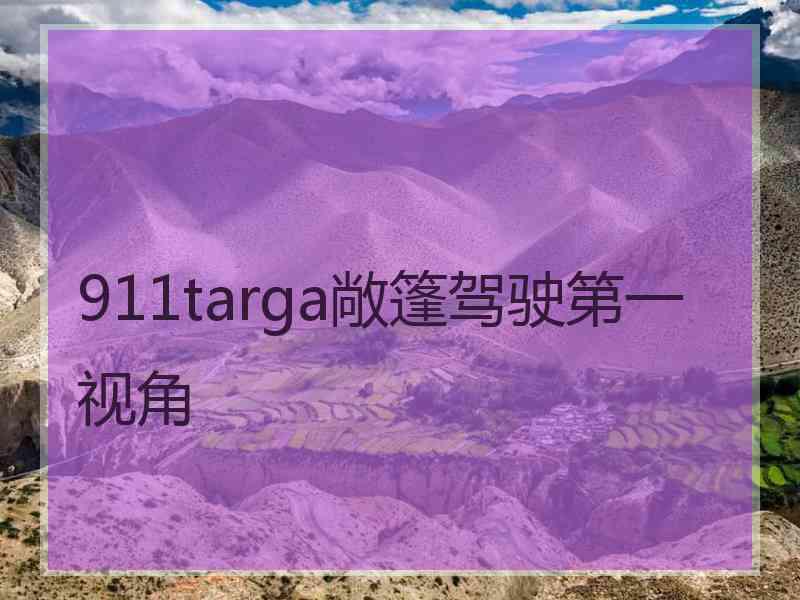 911targa敞篷驾驶第一视角