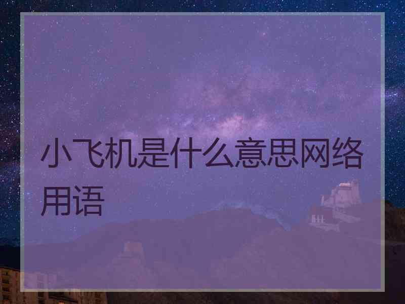 小飞机是什么意思网络用语