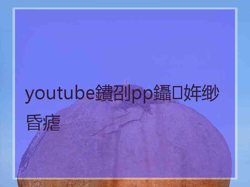 youtube鐨刟pp鑷姩缈昏瘧