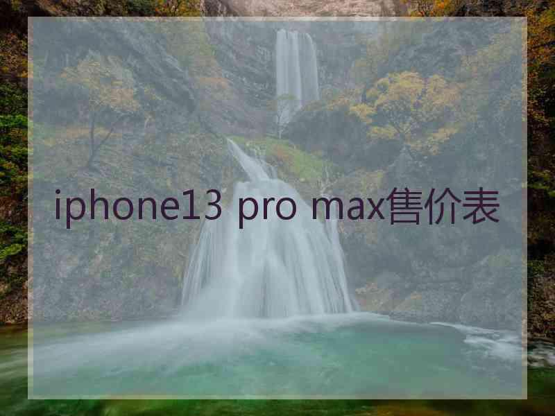 iphone13 pro max售价表