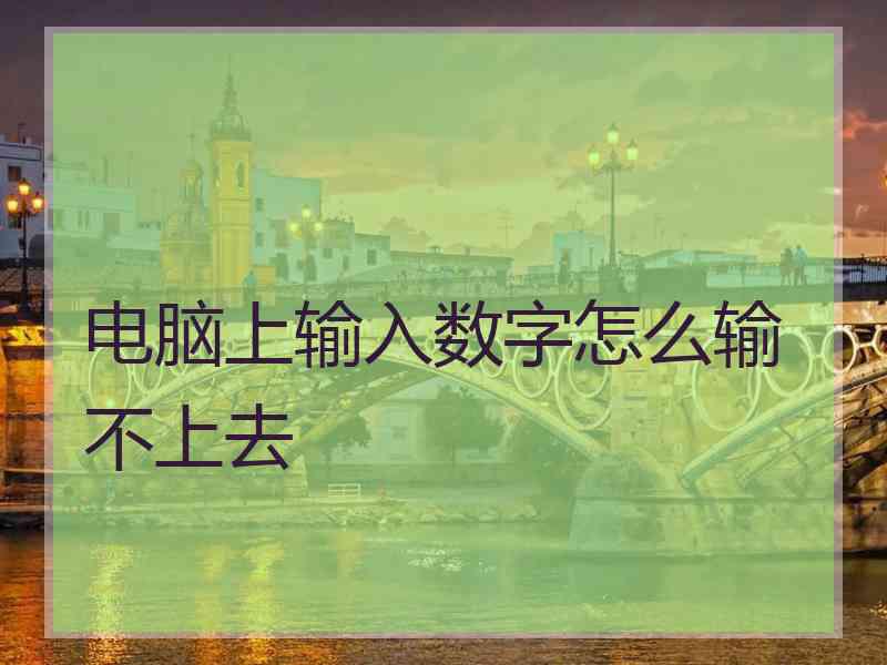 电脑上输入数字怎么输不上去