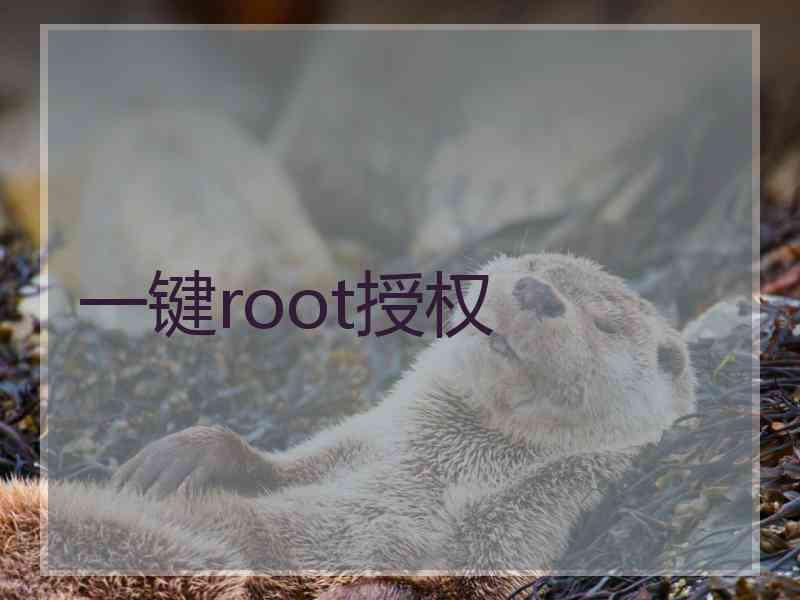 一键root授权