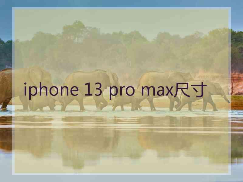 iphone 13 pro max尺寸