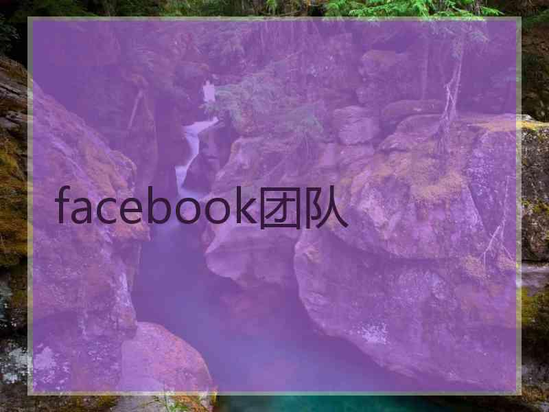 facebook团队