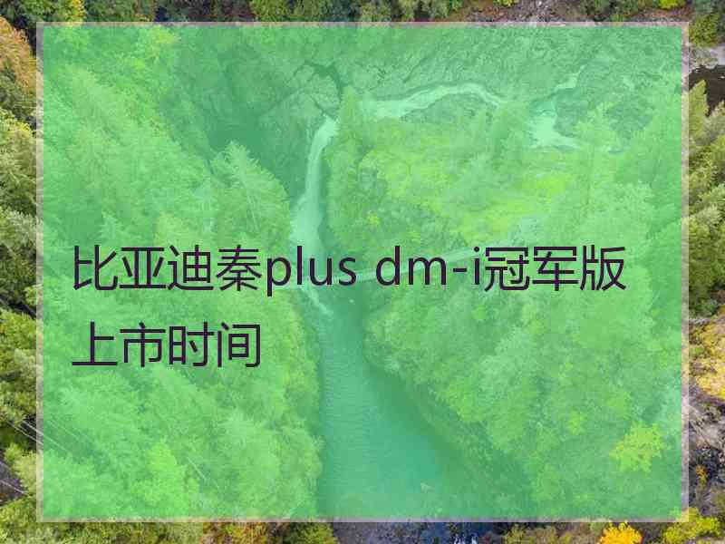 比亚迪秦plus dm-i冠军版上市时间