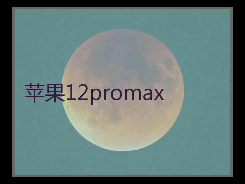 苹果12promax