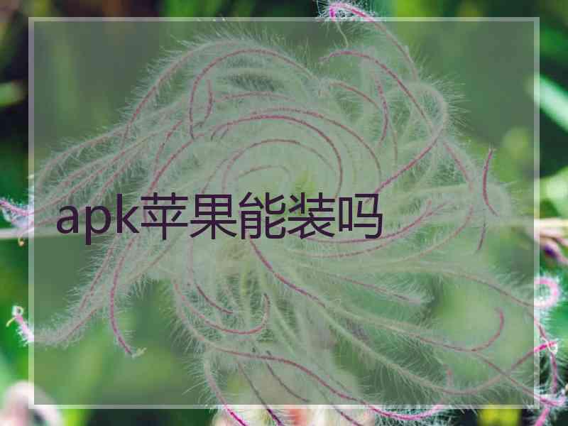 apk苹果能装吗