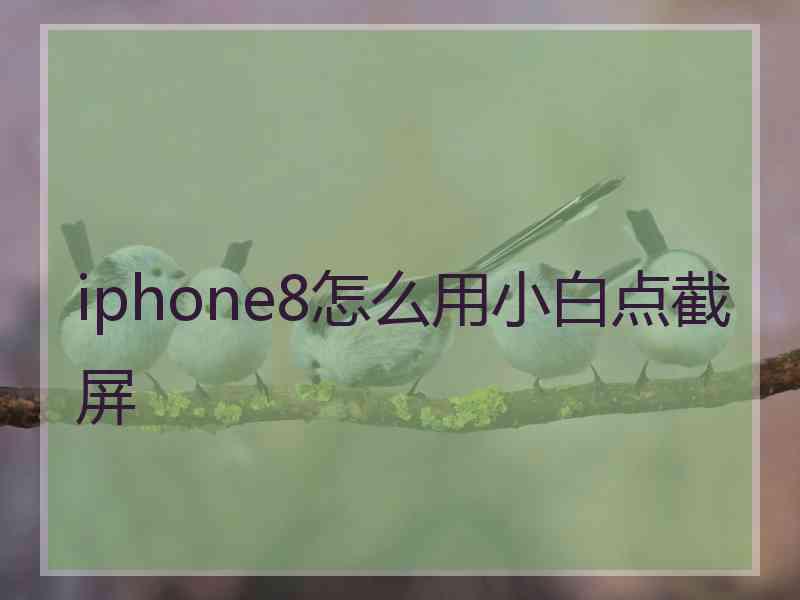 iphone8怎么用小白点截屏