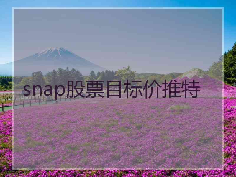 snap股票目标价推特