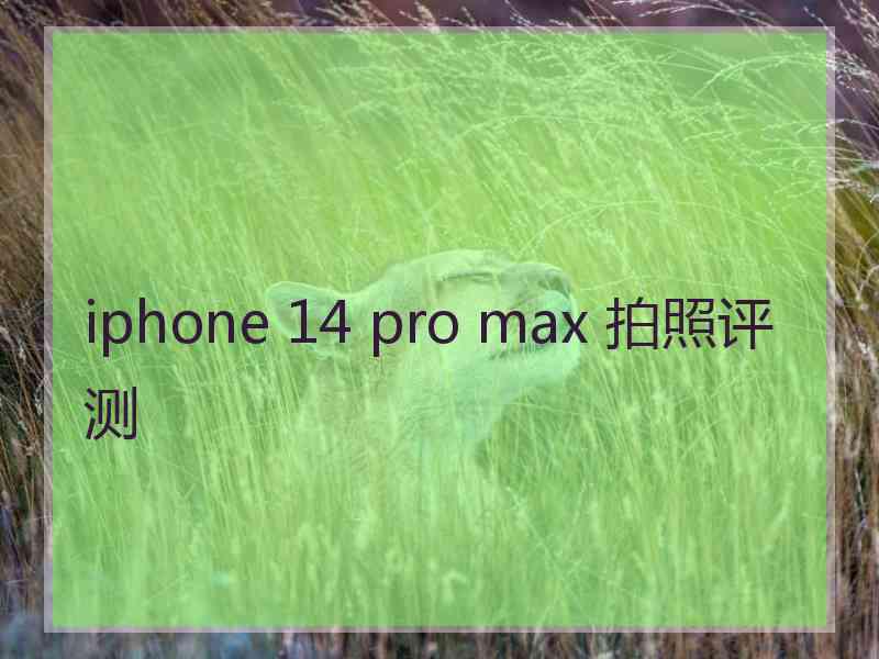 iphone 14 pro max 拍照评测