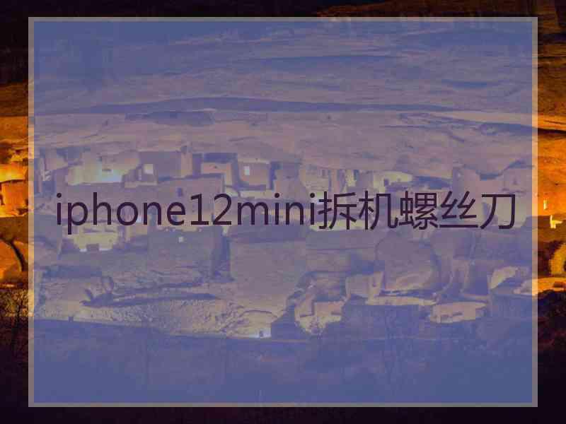 iphone12mini拆机螺丝刀