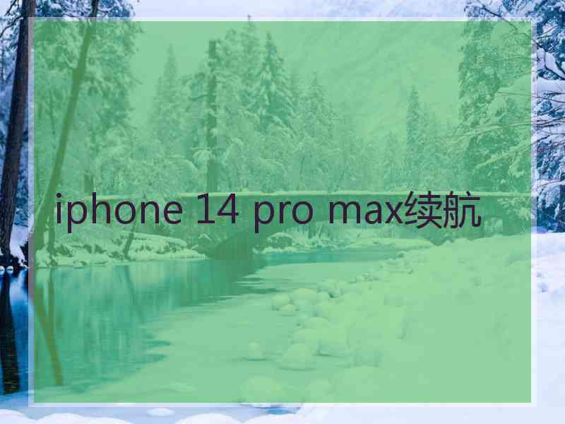 iphone 14 pro max续航