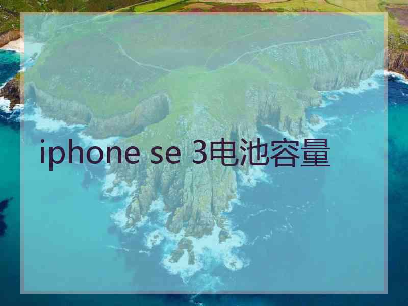 iphone se 3电池容量