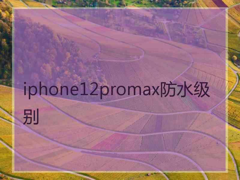 iphone12promax防水级别