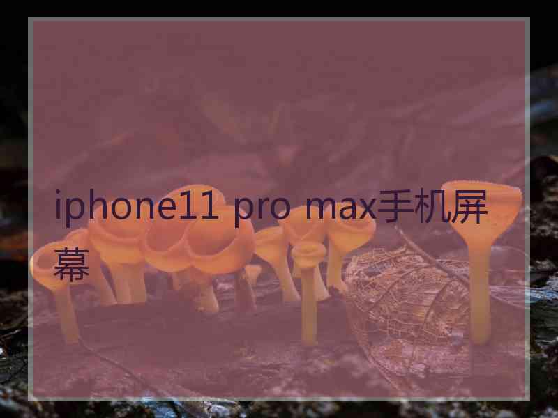 iphone11 pro max手机屏幕