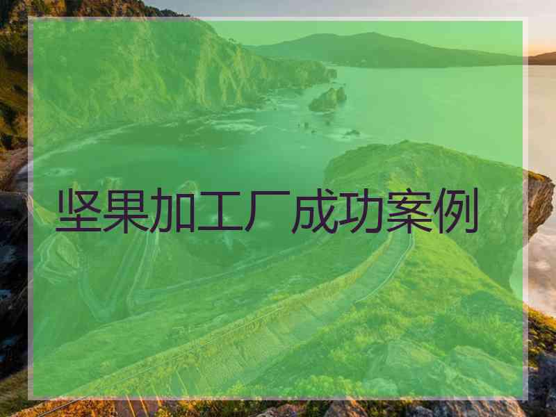 坚果加工厂成功案例